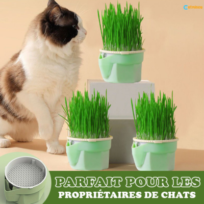 Tasse Herbe à chat. CatPousse™ -  Tasse de germination d'herbe à chat sans sol, réutilisable.