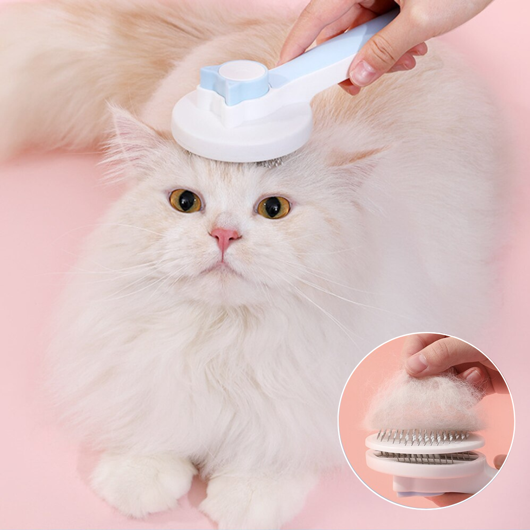 Brosse pour chat - QUICKCLEAN™