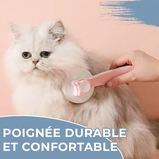 Brosse pour chat - QUICKCLEAN™